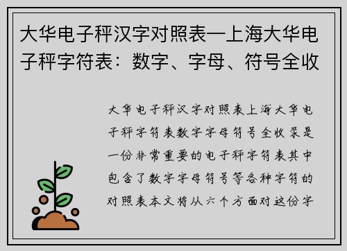 大华电子秤汉字对照表—上海大华电子秤字符表：数字、字母、符号全收录